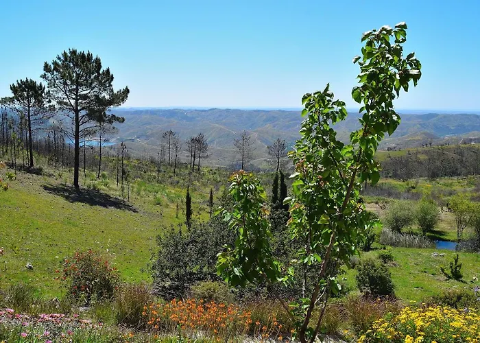 Quinta O Ninho ベッド・アンド・ブレックファスト モンシケ