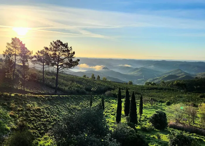 ベッド・アンド・ブレックファスト Quinta O Ninho