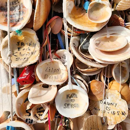 Frühstückspension Quinta O Ninho Monchique